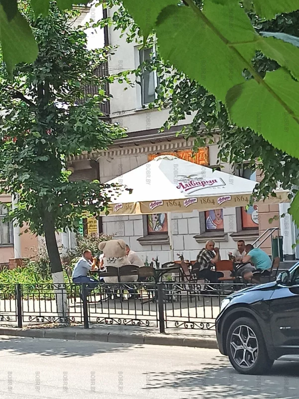 Медведь уже большой, пиво можно