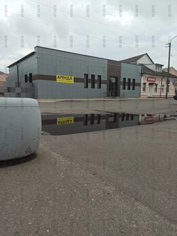 Очень много арендных мест появилось в городе. Интересно, с чем это связано?