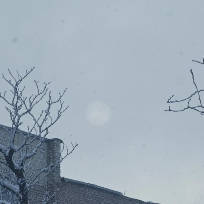 Зимнее солнце