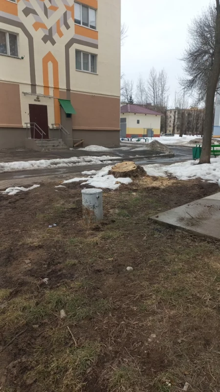 Город для жизни, смотри не споткнись