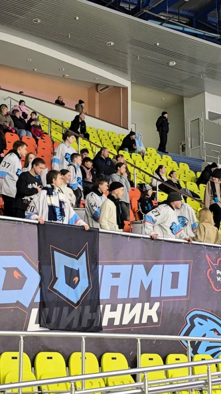 Хоккейные фанаты домашней команды