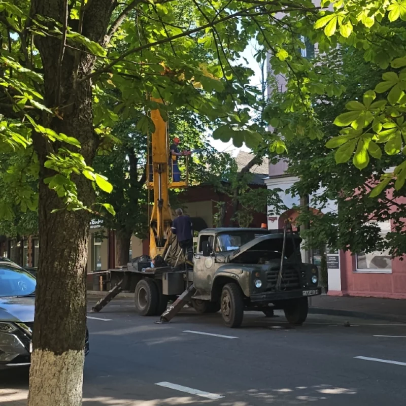 Пилят дерево на Социалистической