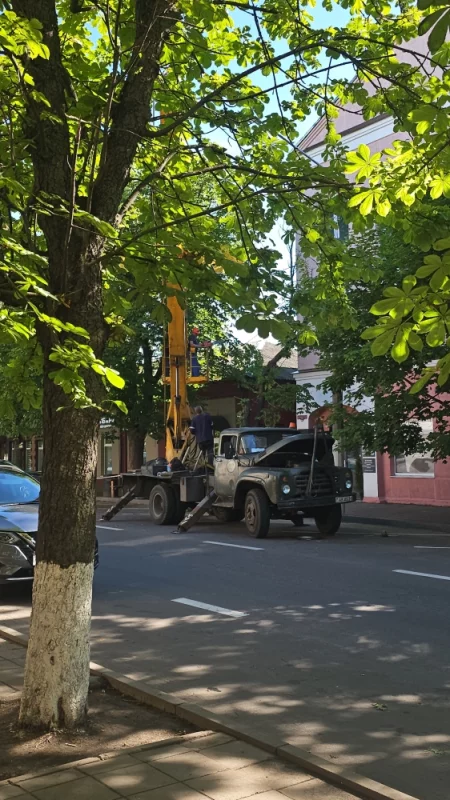 Пилят дерево на Социалистической