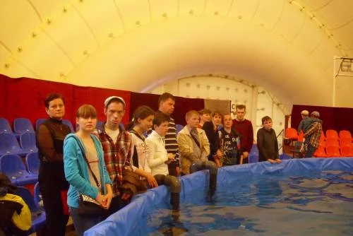 Волшебный мир «Дельфинария»