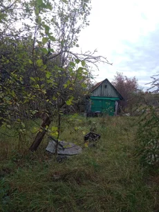 Дом