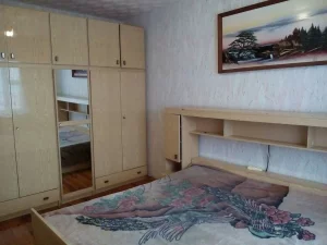 3-х комнатную квартиру