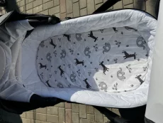 Коляска RAY ULTRA GOLD 2в1