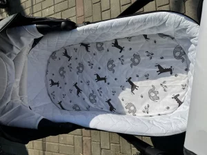 Коляска RAY ULTRA GOLD 2в1