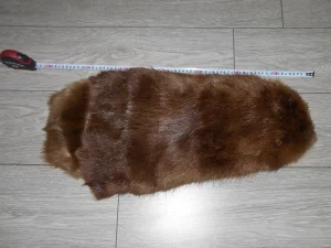 Шкурка бобра