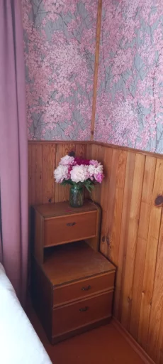 Дача с выходом в лес