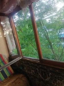 2-х комнатную квартиру