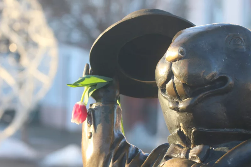 8 марта в Бобруске: тюльпаны, галантный бобер и мартовские котики. Фоторепортаж BOBR.BY