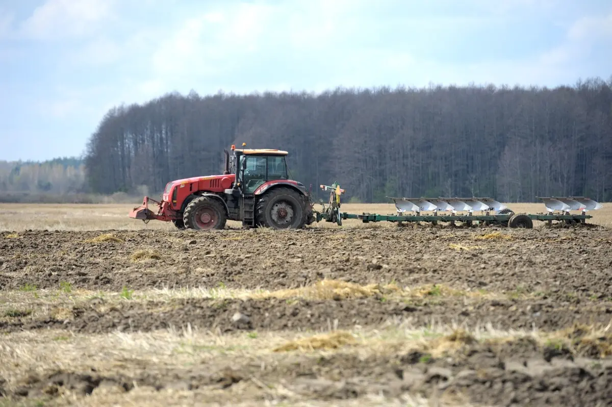 Праца, што грэе душу: у «Агракамбінаце «Бабруйскі» працягваецца сяўба ярыны