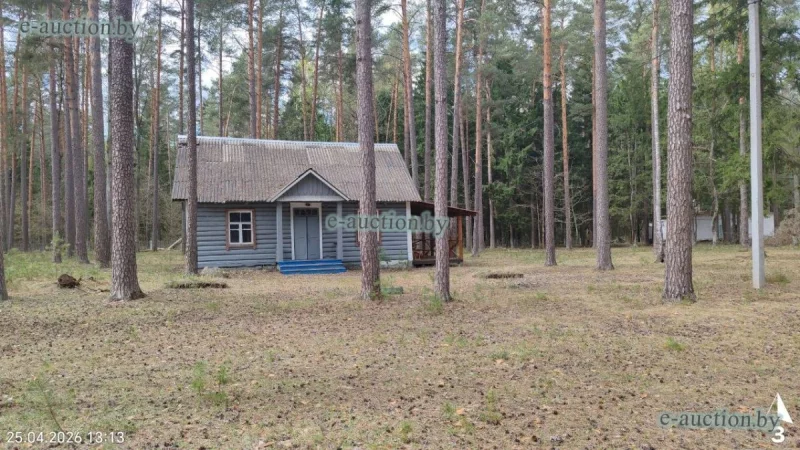В лесах под Бобруйском повторно продают бывший детский лагерь «Смена». Цену снизили
