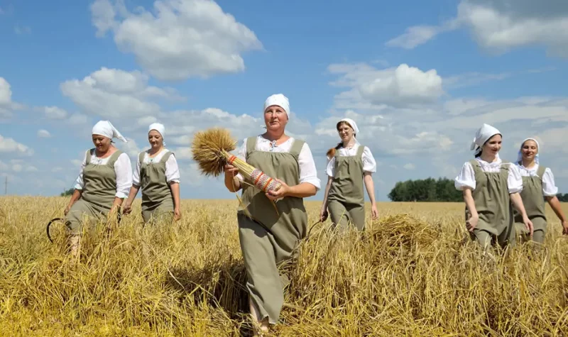 Больше, чем просто традиция! В Бобруйском районе прошёл обряд «Зажинки»