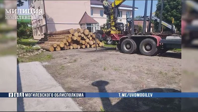 Групповое хищение леса на 6000 рублей раскрыто в Бобруйске