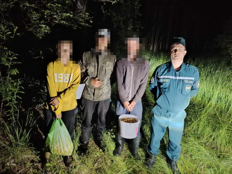 Набрали лисичек близ Углов, но потерялись сами