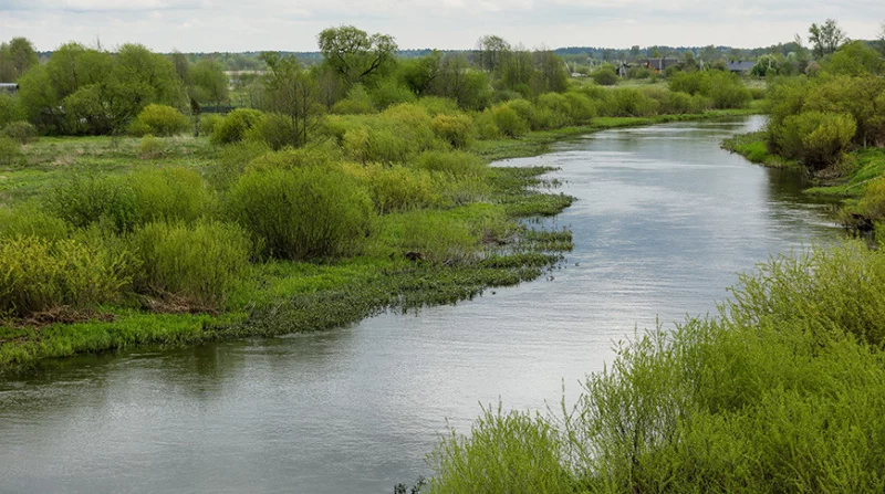 В Бобруйске уровень воды реки Березины находится ниже отметок, лимитирующих судоходство