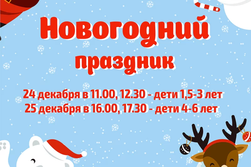 Новогоднее приключение Дедушки Мороза и Снегурочки