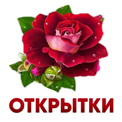 Преимущество электронных открыток перед бумажными