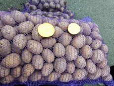 Домашний картофель. АКЦИЯ