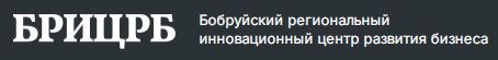 Бобруйский региональный инновационный центр развития бизнеса