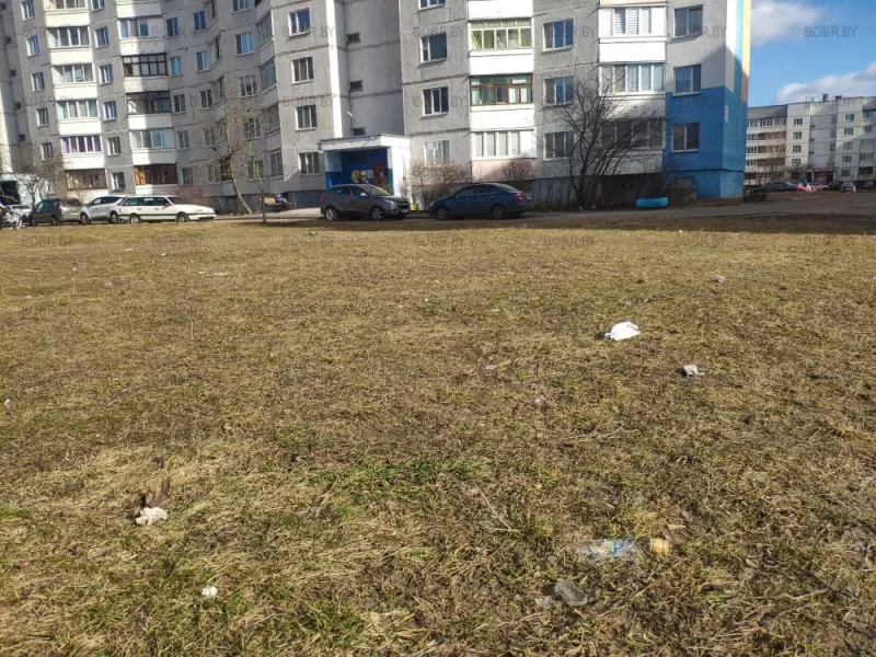 Какая чистота!