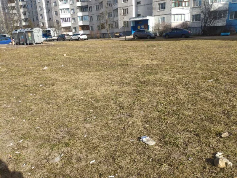 Какая чистота!
