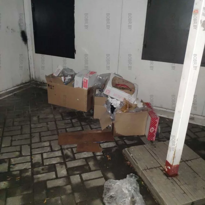 Отличное место для мусора за магазином. До мусорки день было идти, ведь темно и никто не увидит