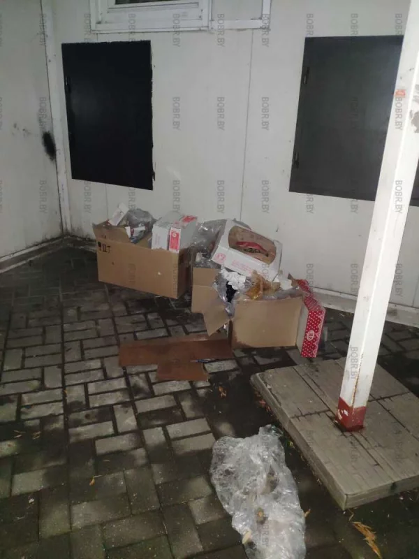 Отличное место для мусора за магазином. До мусорки день было идти, ведь темно и никто не увидит