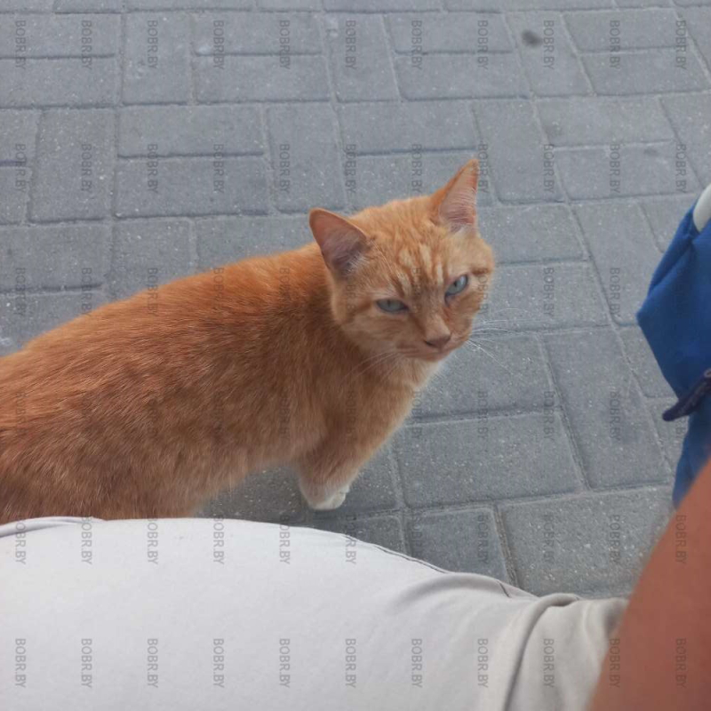 Охрана