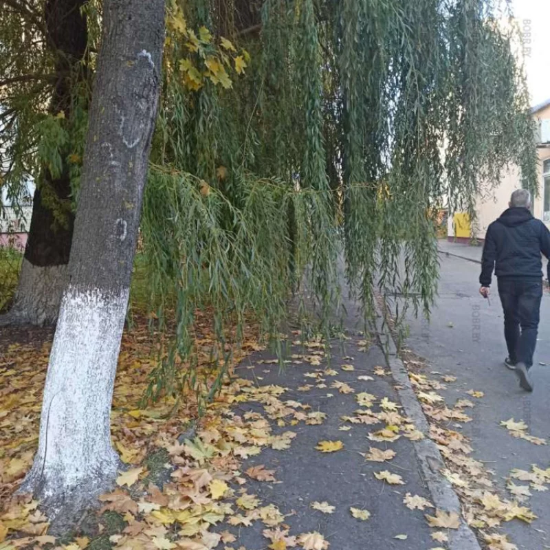 Классный тротуар рядом Минской
