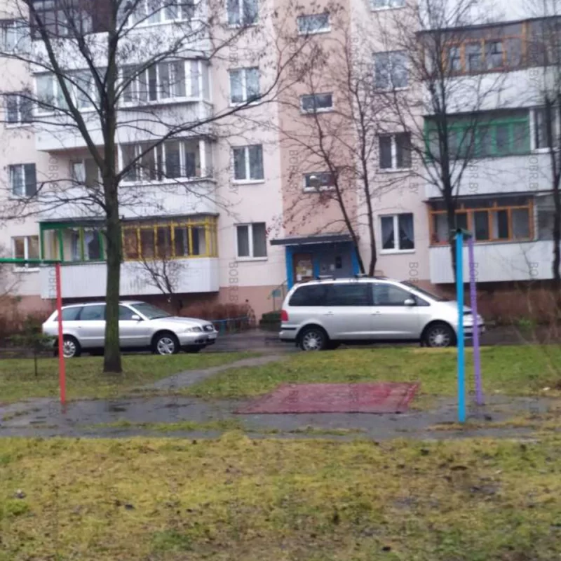 Снег сошёл и ковер нашелся