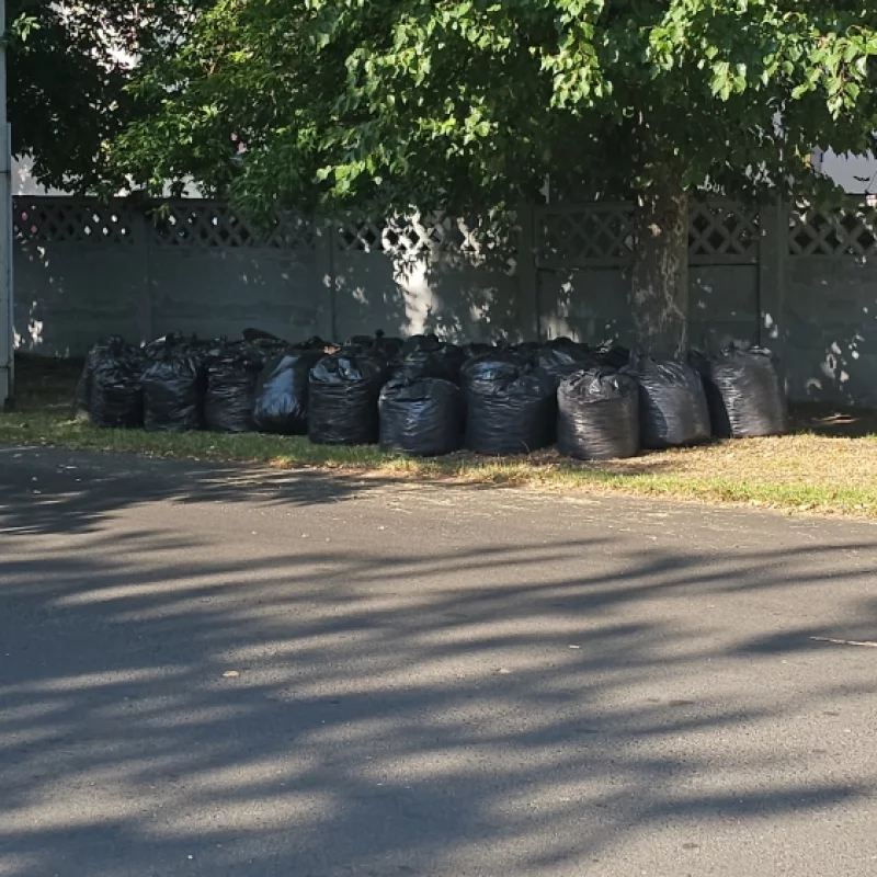 Опавшие листья упаковали в пакеты