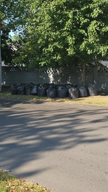 Опавшие листья упаковали в пакеты