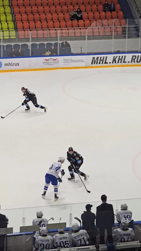 Команда Динамо - Шинник