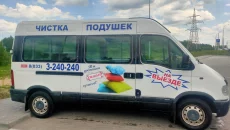 Профессиональная чистка подушек на выезде
