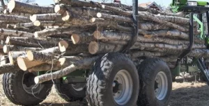 Дрова Не резаные, длинномер 4-6 метра 11-12кубов 450р