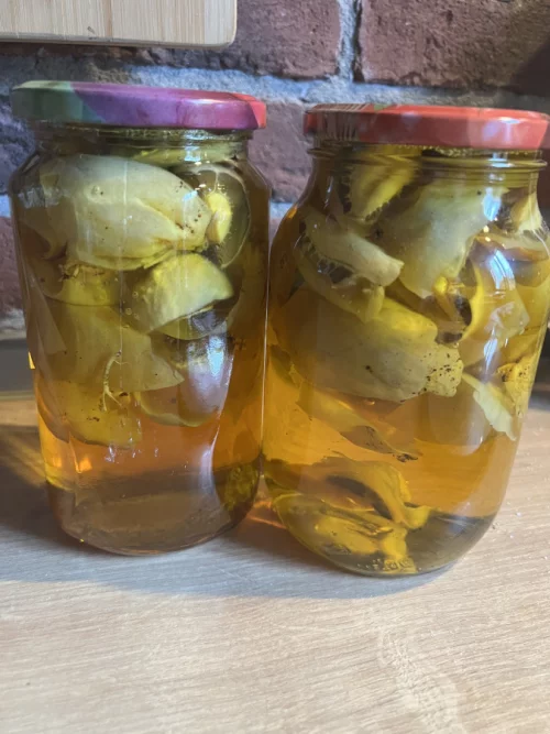 Настойка гриба Веселка