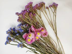 Букет из сухоцветов (более 100 веточек)