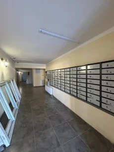Квартира свободной планировки в новостройке