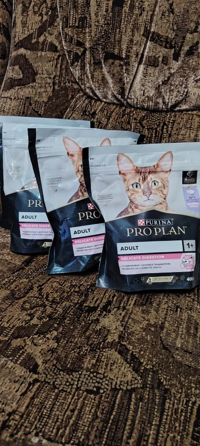 Корм для котов