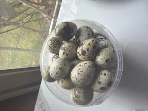 Яйцо перепелиное