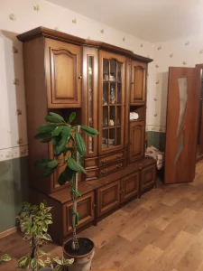 Однокомнатная квартира рядом с Дворцом искусств