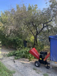 Аренда измельчителя веток