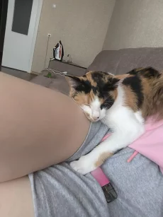 Кошка