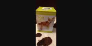 Лапомойка новая