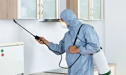 Вредители уйдут от вас навсегда