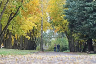 Цветные листья. Фотопрогулка по Бобруйской крепости и над Березиной
