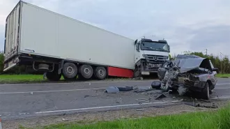Двое детей погибли в ДТП. Бобруйчанина нашли с применением служебной собаки